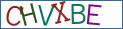 Type the letters shown in the picture