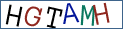 Type the letters shown in the picture