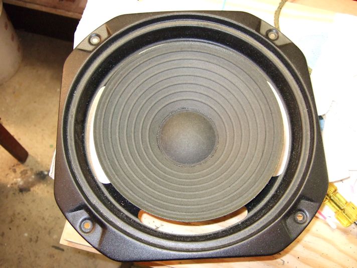 [Woofer with the old foam removed]